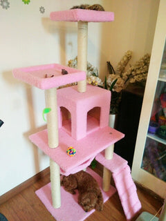 Cat Tree with Scratching Board and Climbing Frame