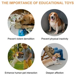 Communication Button for Dogs