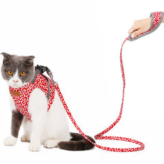 Cat Harness and Leash for Safe Outdoor Walks