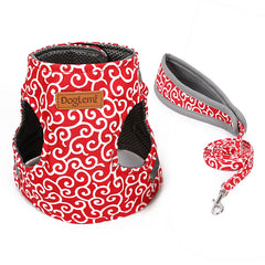 Cat Harness and Leash for Safe Outdoor Walks